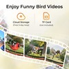 TT Nature Smart Bird Feeder with Camera, Heavy-Duty Chew-Proof Metal