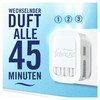 Febreze Febreze Programmierbarer Lufterfrischer 3Volution Duftstecker Starter-Kit + Nachfüllflakons 80