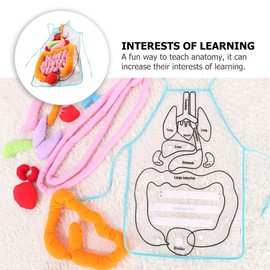 iplusmile 1 Set Human Viscera Apron Anatomy Organ Molds Anatomical Apron 3d Organ Apron Body Organ Molds Educational Toys for Toddlers Anatomy Apron Teaching Aids Polyester Child Human Body