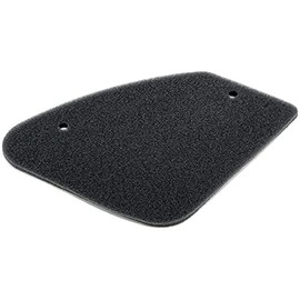 RMS Original Air Filter Box R100600370 for Original Filter Box Peu t Speedfight 1/2, Buxy, Elystar, Speedake, Zenith