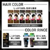 Lucido Color Rinse PRO Perfect Black Hair Dye Treatment, 4.2