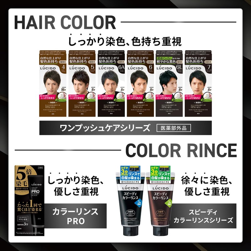 Lucido Color Rinse PRO Perfect Black Hair Dye Treatment, 4.2