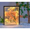 HanYun Shadow Box Frame with LED Light, Box Frames for