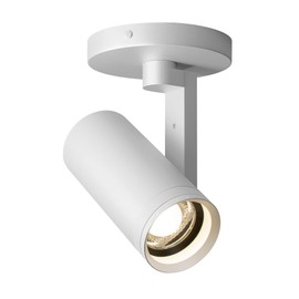 Aisilan White LED Zoomable Ceiling Spotlight 12W Dimmable Adjustable Beam Angle 10-55° Swivelable Angle CRI 97 Matt Aluminum Accent Lamp for Corridor Mural Living Room, Warm White 3000K