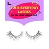 Lashes Wispy False Eyelashes Colour Gradient False Eyelashes Natural Look
