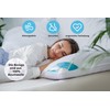 Sandaro Pillow & Duvet, Goose Down Pillow Quilt, Natural Product,