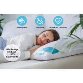 Sandaro Pillow & Duvet, Goose Down Pillow Quilt, Natural Product, 80x80 cm