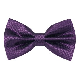 Alizeal Mens Solid Color Bow ties Polyester Pre Tied Wedding Bow Tie, Plum Purple