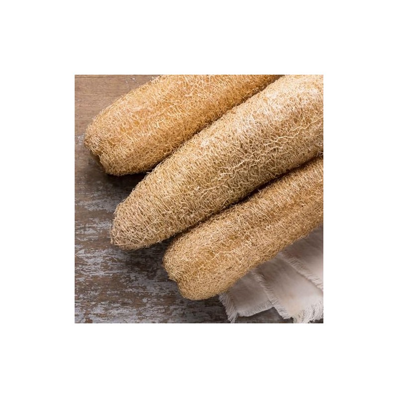 Eden Brothers Gourd Seeds - Luffa