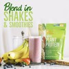 LivFit Superfood en polvo