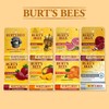 Burt's Bees 버츠비 립밤 9종 / 비즈왁스 허니 자몽 석류