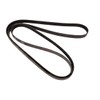 Continental 4060575 OE Technology Series Multi-V Belt