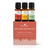 Plant Therapy Wellness Sampler Essential Oil Set – 100% Pure