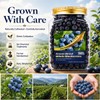Freeze-Dried Whole Blueberries (6.6 oz / 187g) - Natural Crunchy