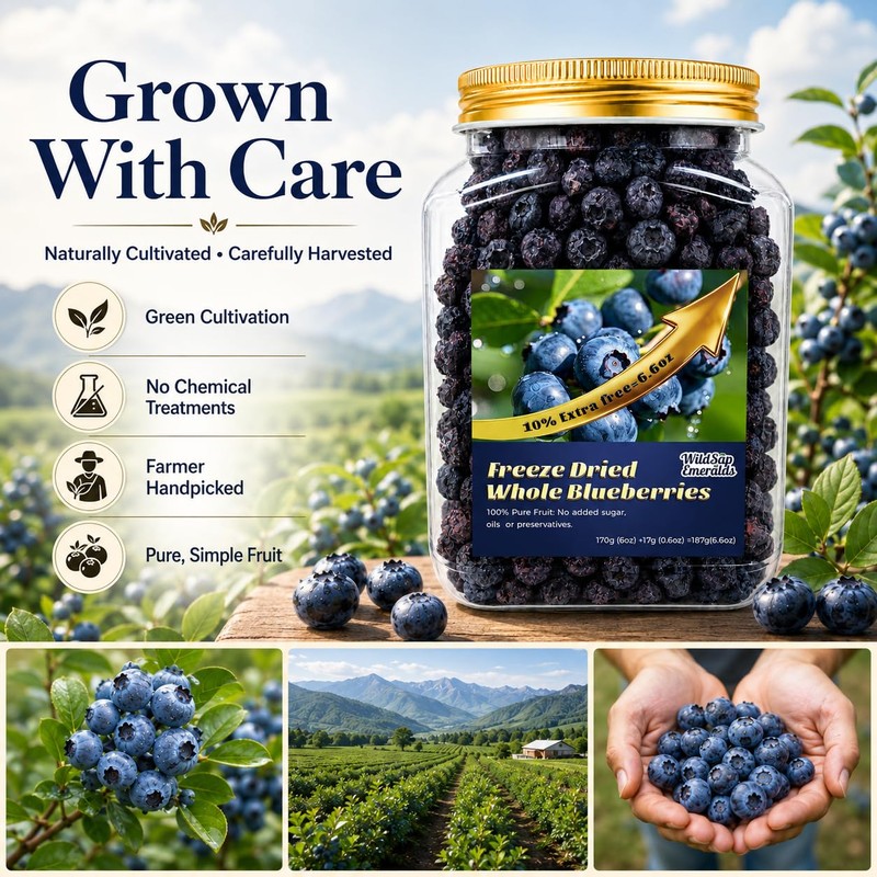 Freeze-Dried Whole Blueberries (6.6 oz / 187g) - Natural Crunchy