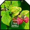 Raspberry Leaf Tea 600 g - Dried Raspberry Leaves -
