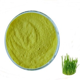 Barley Sprout Extract Powder 100g Sample