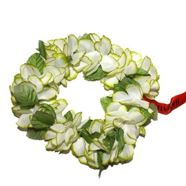 Rainview Creations Hawaii Floral Headband-haku Lei Elastic Hawaiian Haku Leis Headdress. Color White/green