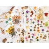 Knaid Knaid Pressed Flower Themed Stickers Set (320 Pieces) Dried