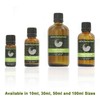 Litsea Cubeba 100% Pure Essential Aromatherapy Oil 100ml