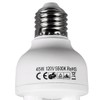 CanadianStudio 45 Watt CFL Daylight Balanced Bulb with 5500K Color