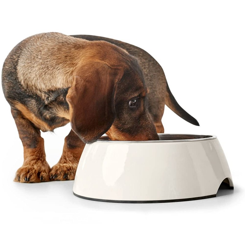 Hunter Melamine Bowl for Dogs and Cats with Removable Stainless