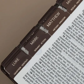 UPAFEXXI-Laminated Bible Tabs with Book Summaries(Gold Foil Embossed Lettering), Bible Tabs for Women and Men, Reposition Large Print Stickers, Easy to Read, 80Chapters Labels for Easy Navigation