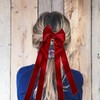 2Pcs Ribbon Hair Bows for Women,Tassel Ribbon Bowknot Hair Clips