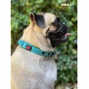 Heavy Duty Dog Collar with Handle | Ballistic Nylon Heavy