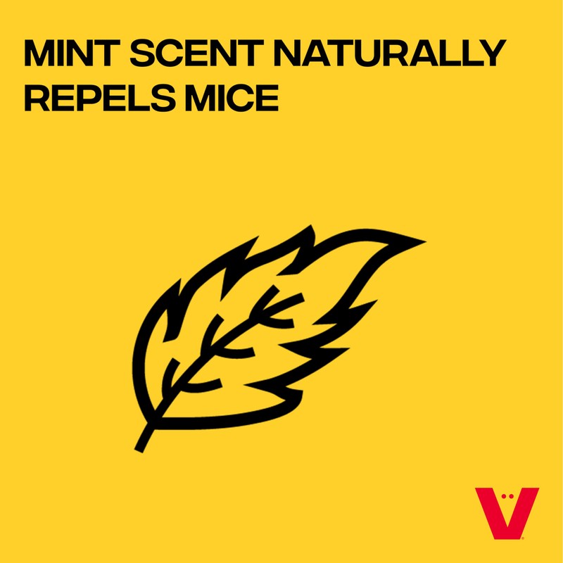 Victor M805-2SR Scent-Away Natural Rodent Repeller – Peppermint Oil Mouse