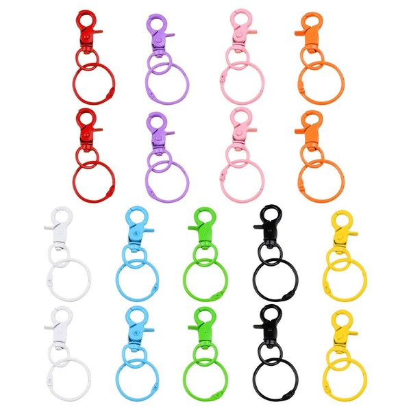 18 Pieces Keychains, Keychain Carabiners, Keychains Colorful, Keychain Carabiner Hooks,