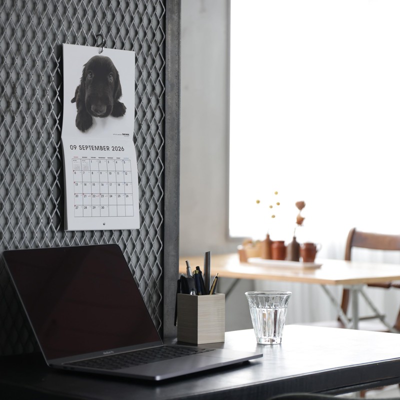 THE DOG 2026 Wall Calendar, Mini Size (Cavalier King Charles