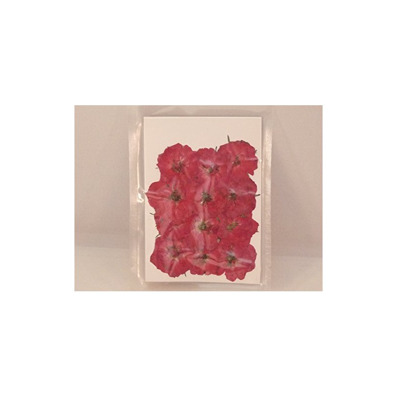 hukusan Flower Pack Mini Rose Red Fuk – 1026
