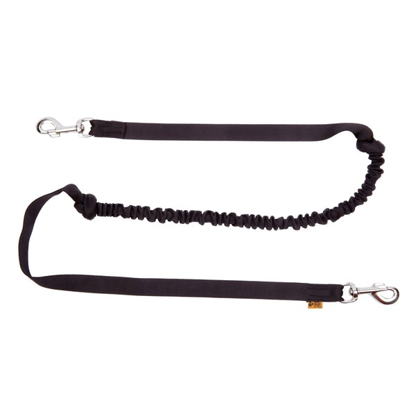 Dingo Dog Lead Made of Band Shock Absorber with 2