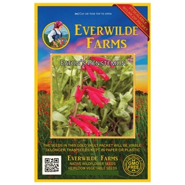 Everwilde Farms - 800 Eaton's Penstemon Native Wildflower Seeds - Gold Vault Jumbo Seed Packet