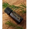 Essenc herb Essential Herb Tea Tree 100 Oil 10ml x