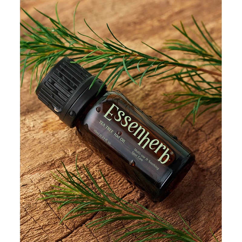 Essenc herb Essential Herb Tea Tree 100 Oil 10ml x