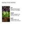 Molton Brown Bath & Shower Gel, Re-Charge Black Pepper, 10