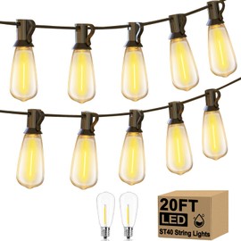 20ft LED Outdoor String Lights with 22 Edison Bulbs (2 Spare), 0.6W -E17 Medium Base ST40 Vintage Outdoor Garden Lights Waterproof UL Listed for Bistro Garden Backyard Party Wedding Decoration