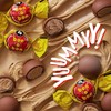 Bon o Bon Chocolate Bon Bons, Decadent Chocolate Truffles with