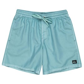 Quiksilver EVERYDAY SURFWASH VOLLEY 17NB Men's Board Shorts, BGW0, L