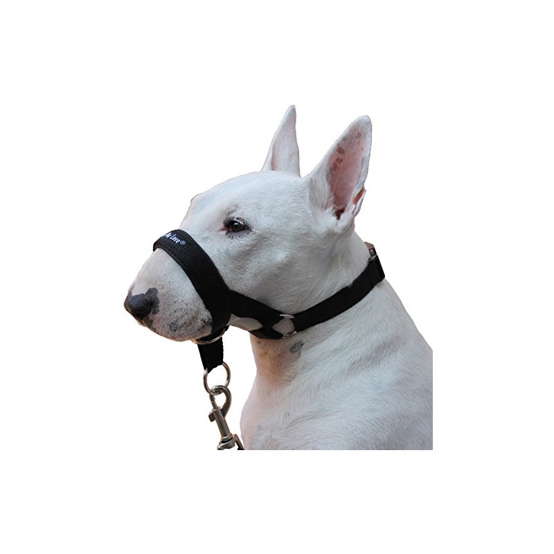 Dog Head Collar Halter Black (L 10.25inch12.25inch Snout)