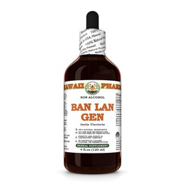 Ban LAN Gen (Isatis Tinctoria) Dry Root Glycerite, Made in Hawaii, All Natural, Vegan, Lab Tested Alcohol-Free Liquid Extract - 4 fl.oz