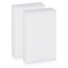 Mr. Proper Express Dirt Eraser Pack of 2