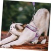 Mipcase Adjustable Cat and Leash Set Walking Kit for Small