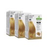 MEILAB Permanent Hair Colour without Ammonia - Pack of 3