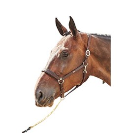 John Whitaker Ready to Ride Headcollar Brown Full