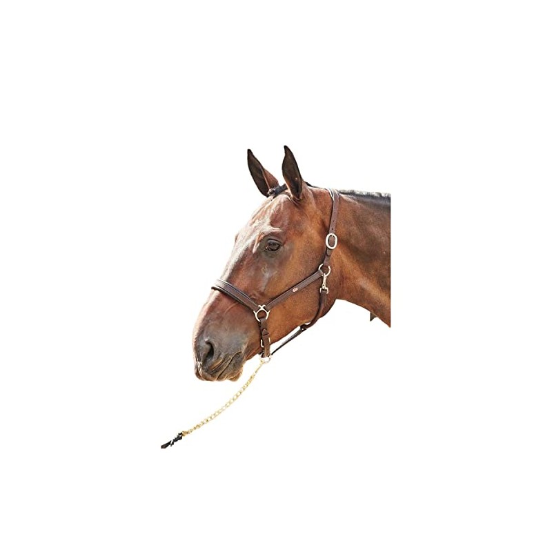 John Whitaker Ready to Ride Headcollar Brown Full
