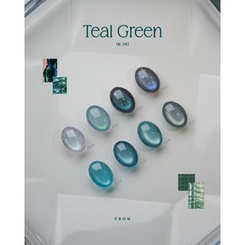 From the Nail Teal Green Magnetic Gel + 30 parts / 프롬더네일 틸그린 자석젤+파츠 30개