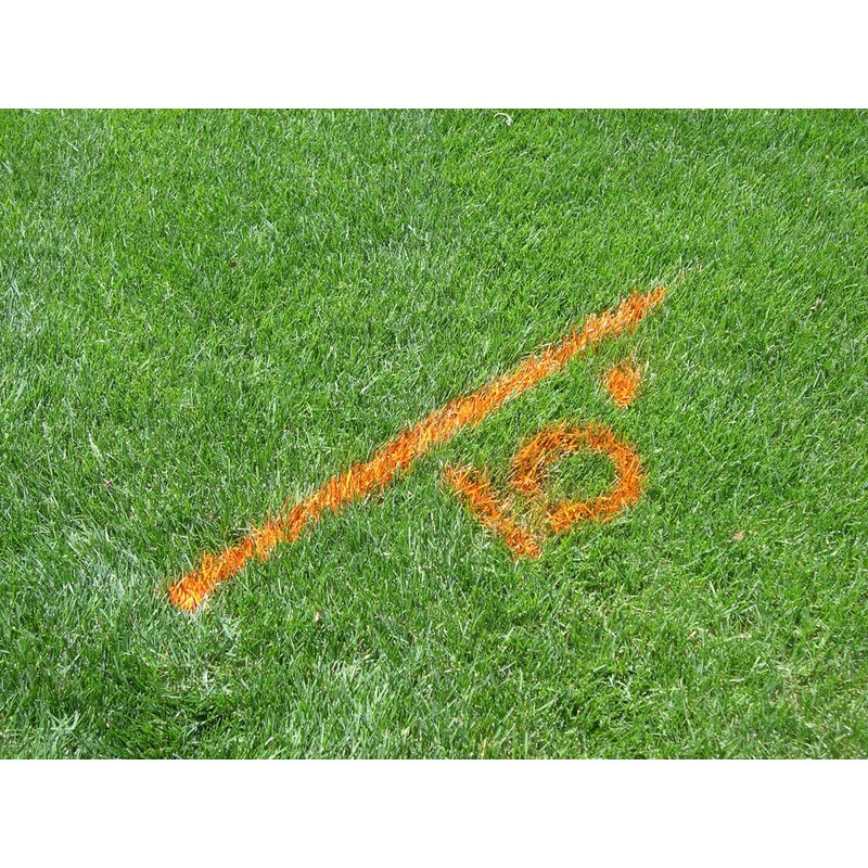 Rust-Oleum 206043 Industrial Choice AF1600 Athletic Field Inverted Striping Paint,